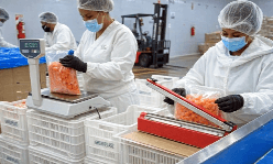 Alianzas: Iceberg Agrícola
