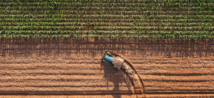 BSJ - Empresas - Financiación - Línea de financiamiento para Capital de Trabajo y Agroinsumos - Hero Image