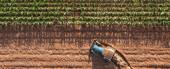 BSJ - Empresas - Financiación - home-capital-trabajo-agro-insumos