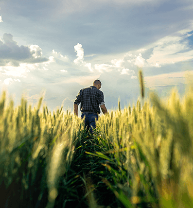 BSJ - Empresas - Financiación - capital-trabajo-sustentable-section